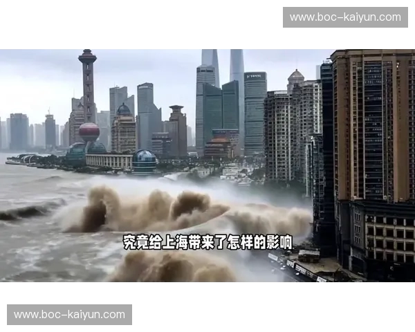 双城记：在上海的极致欲望里奔跑，在杭州的半梦半醒间生活