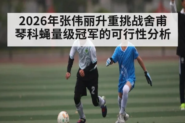 2026年张伟丽升重挑战舍甫琴科蝇量级冠军的可行性分析